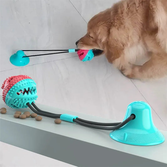 Juguete interactivo para perros con ventosa