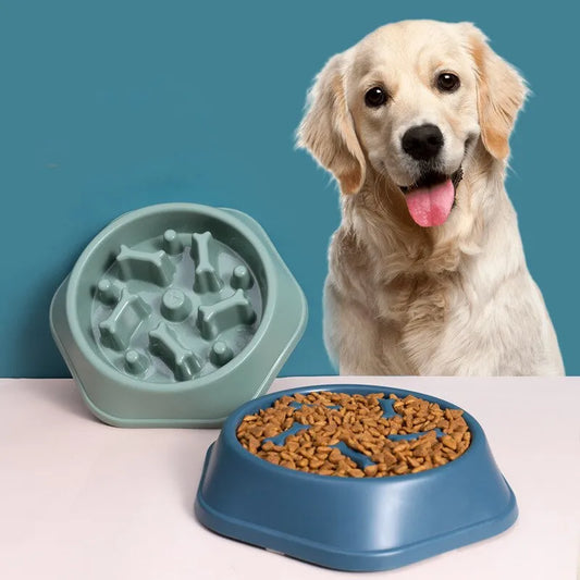 Cuenco para mascotas de alimentación lenta