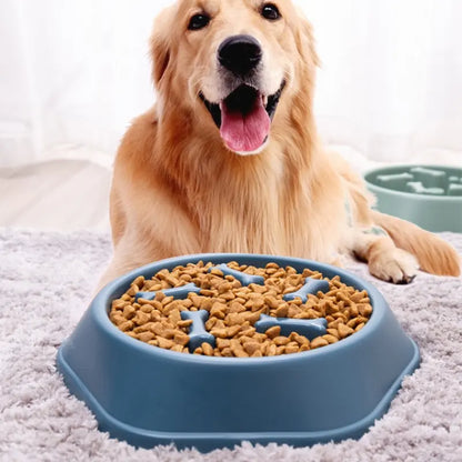 Cuenco para mascotas de alimentación lenta